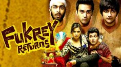 Fukrey Returns movie review: No gain, only pain