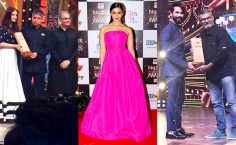 Big Zee Entertainment Awards 2017: Alia Bhatt, Shahid Kapoor win Best Actress and Actor for Udta Punjab