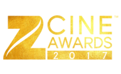 Zee cine Award 2017